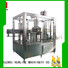 NEWLINE High-quality juice bottling machine factory on sale