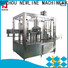 NEWLINE juice filling machine for business bulk production