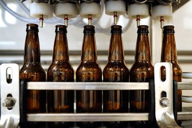 Photo of beer bottles hooked up to a beer bottle filling machine