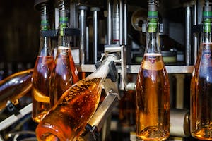 Photo of champagne bottles being filled on a champagne bottle filling machine